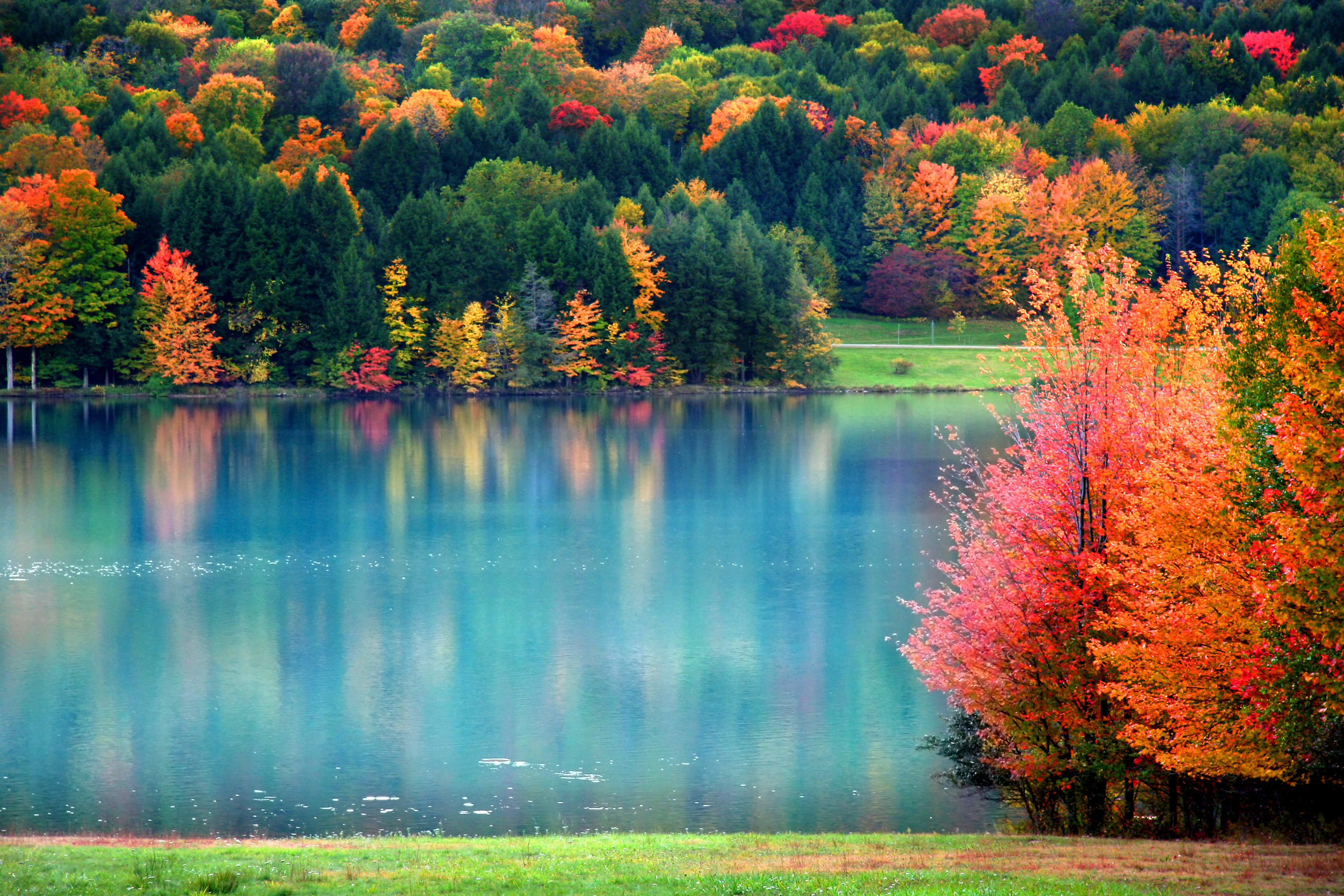 Benefits of Lakefront Homes for Nature Lovers header image.