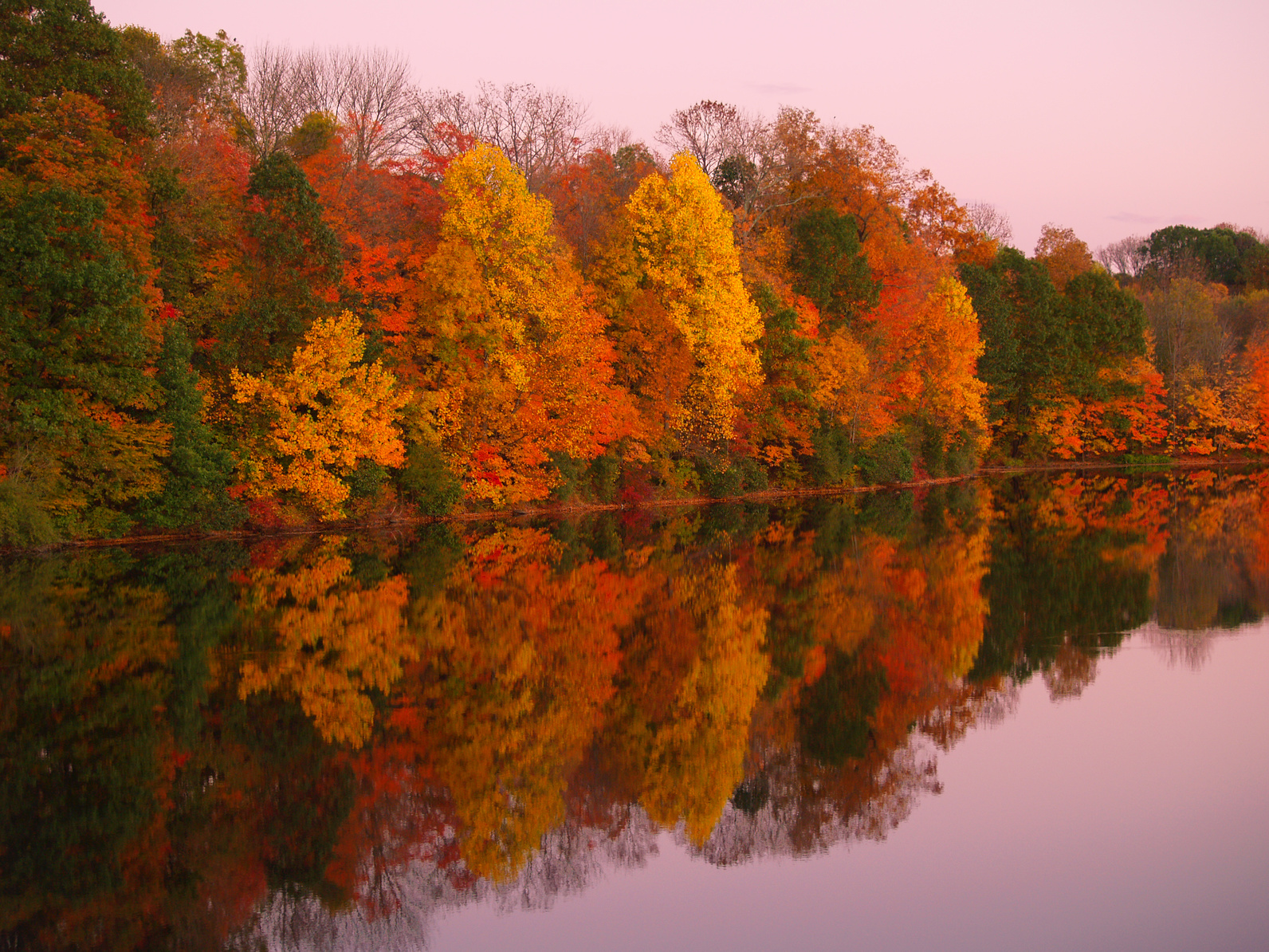A Perfect Day at the Lake header image.