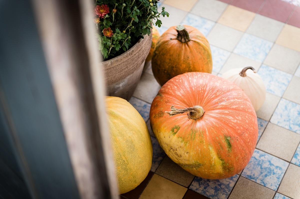 Home Decor Ideas You Can't Miss This Fall Season header image.