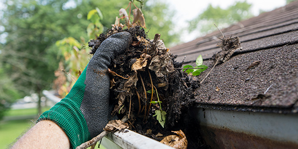 Summer Home Maintenance Checklist: Keep Your Moore County Home in Top Shape header image.