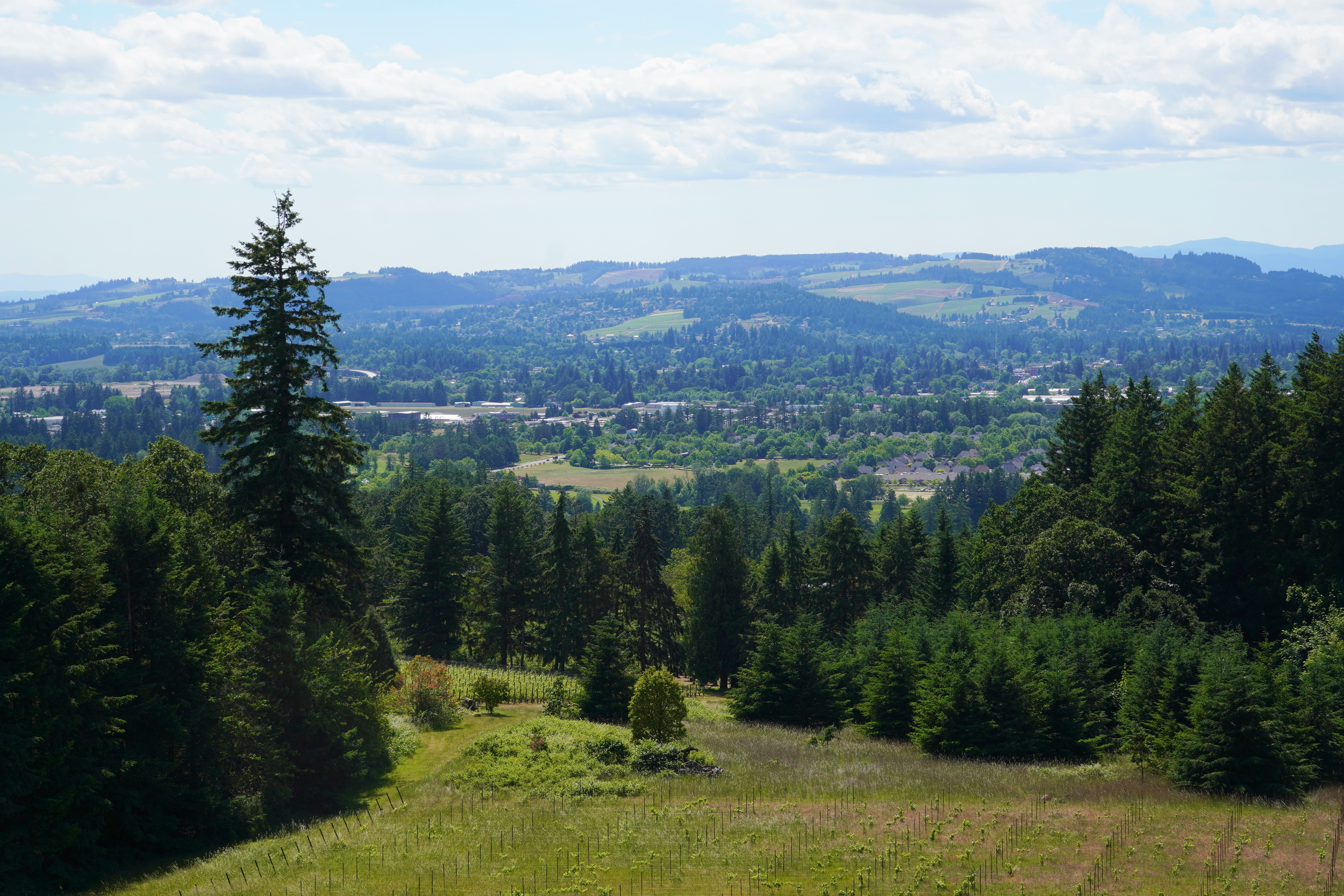 Scenic Willamette Valley suburbs near Salem Oregon with farmland and mountains