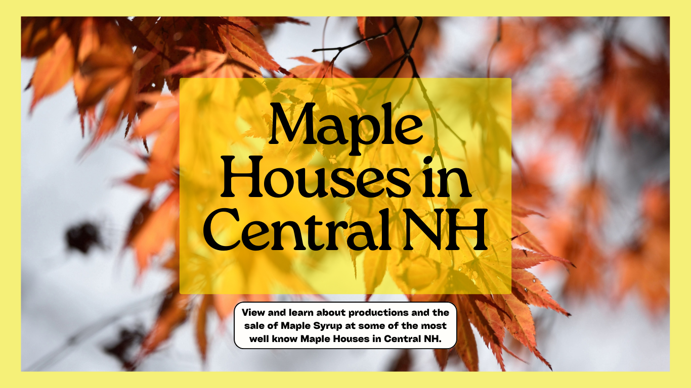Maple Houses in Central NH