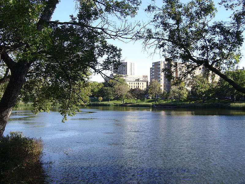 Neighborhood Spotlight: Loring Park header image.