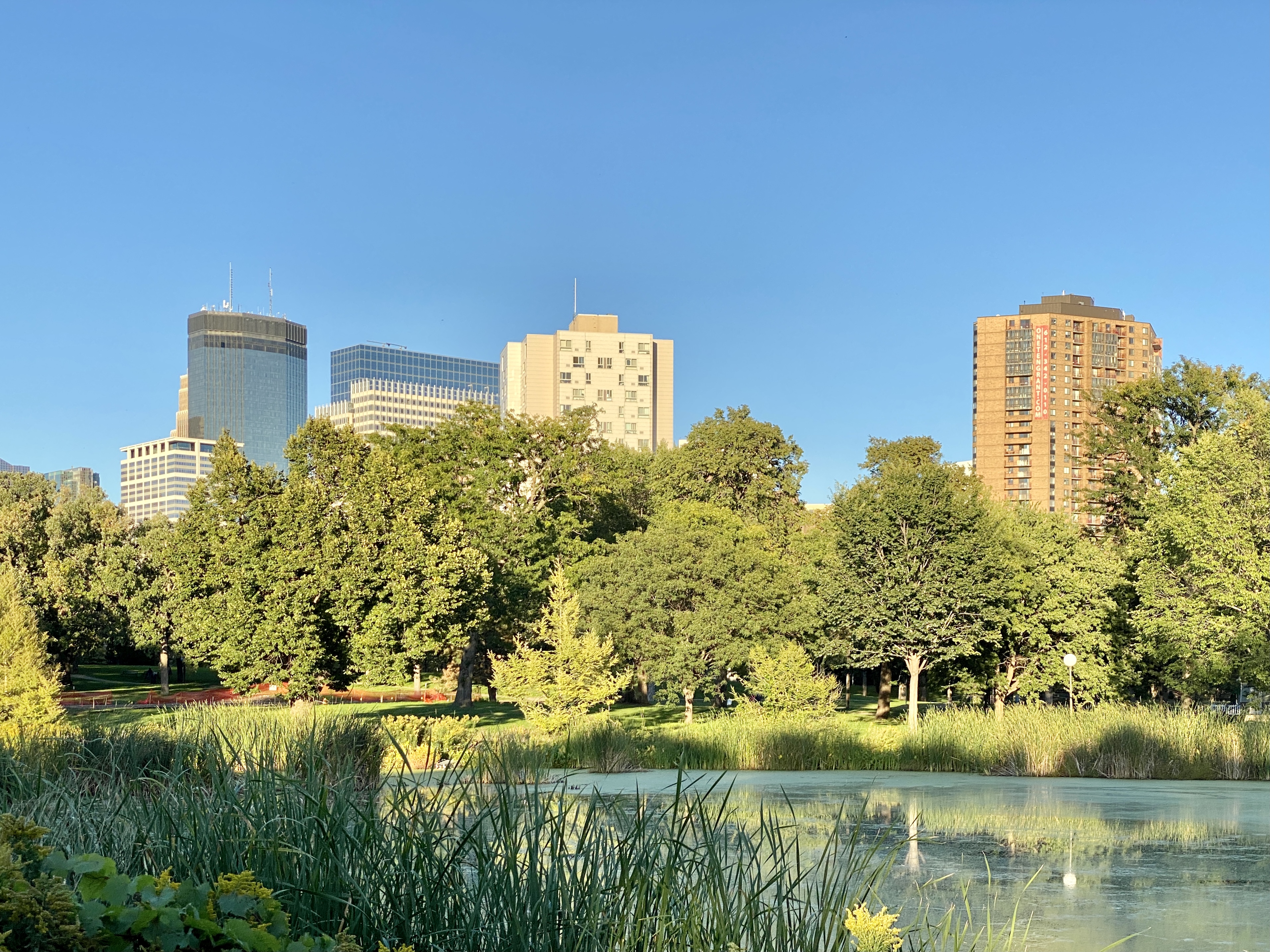 Neighborhood Spotlight: Loring Park header image.