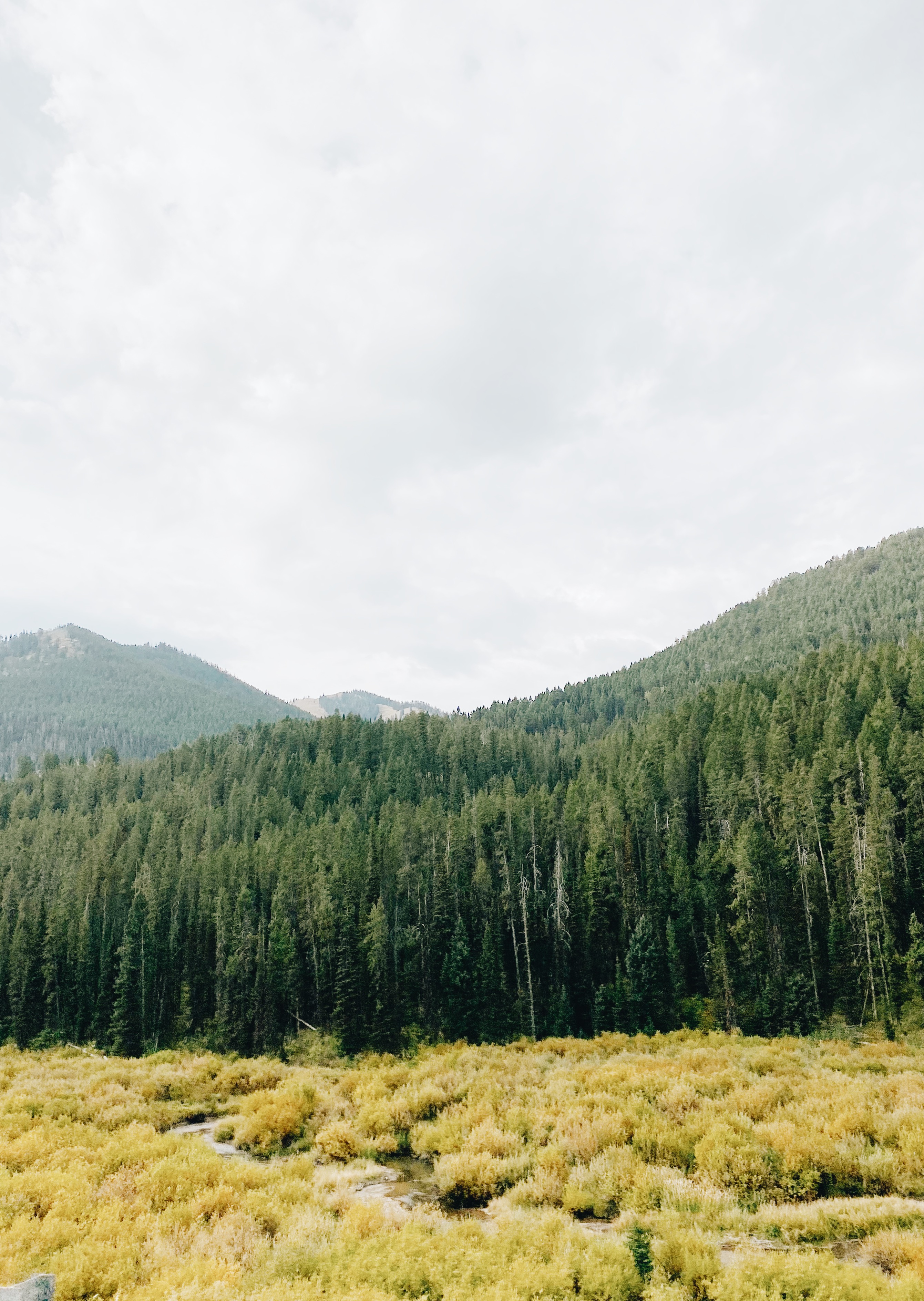 Colorado Free Days in 2026: How to Have More Fun Without Spending More header image.