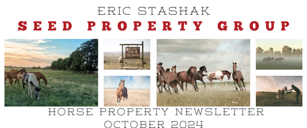 Horse Property Newsletter - October 2024 header image.