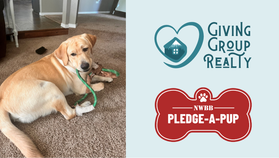Iroh's September Update: Our Pledge-a-Pup is Almost Ready for Training header image.