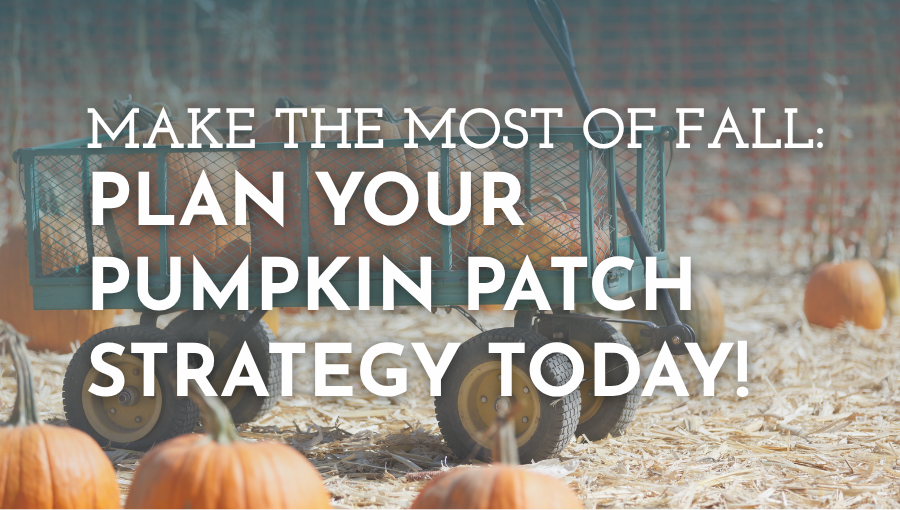 Pumpkin Patches Near Vancouver WA & Portland OR: 6 Local Favorites header image.