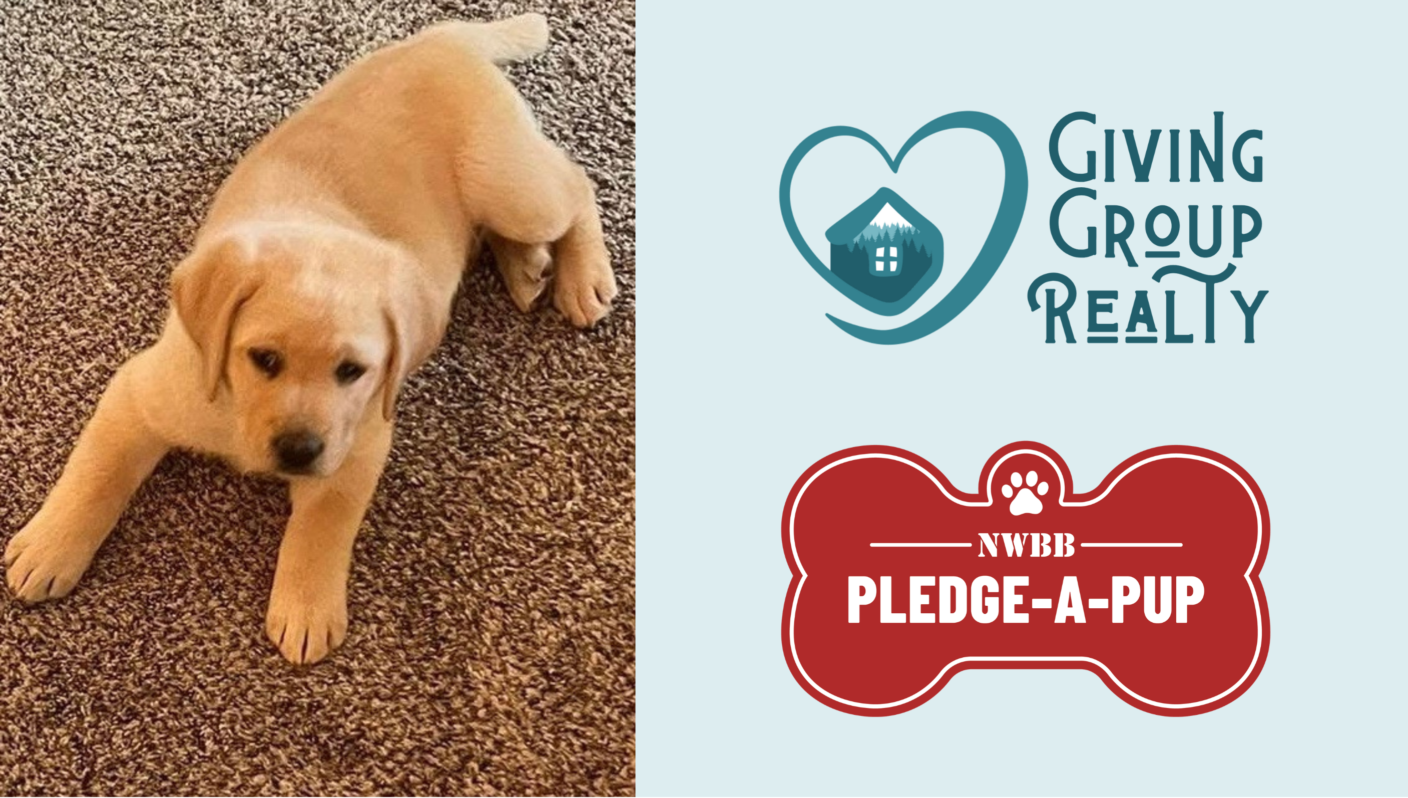 March Pup-Date header image.