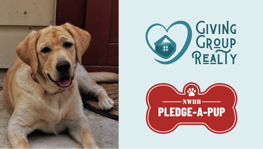 Iroh’s 7-Month Update: Following His Journey to Become a PTSD Service Dog header image.