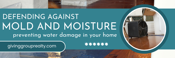 Mold and Mildew Defense header image.