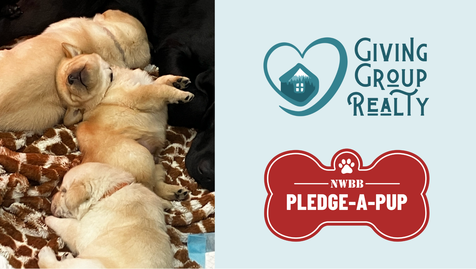 January Pup-Date header image.