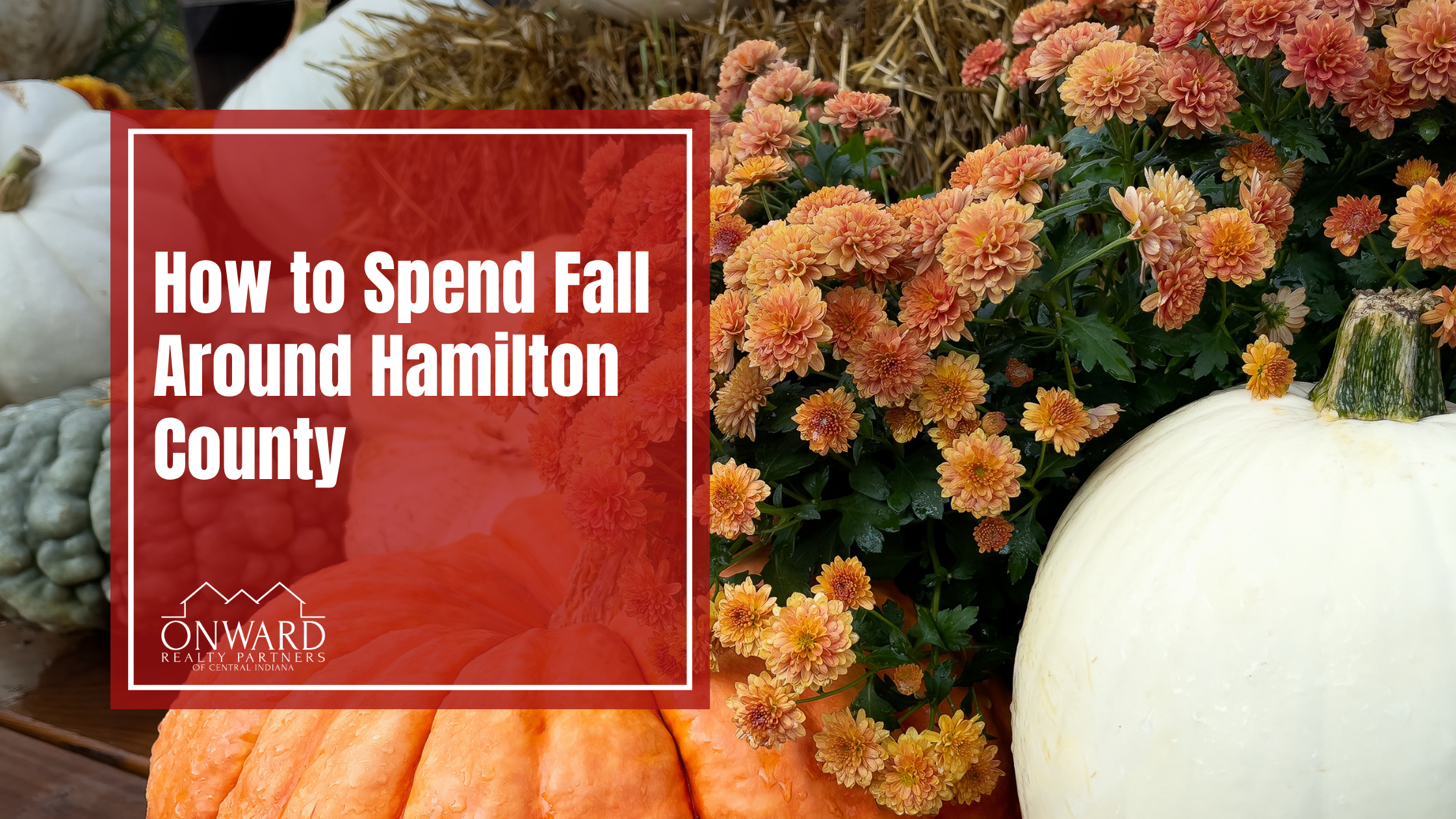10 Things to Do Around Indy This Fall header image.
