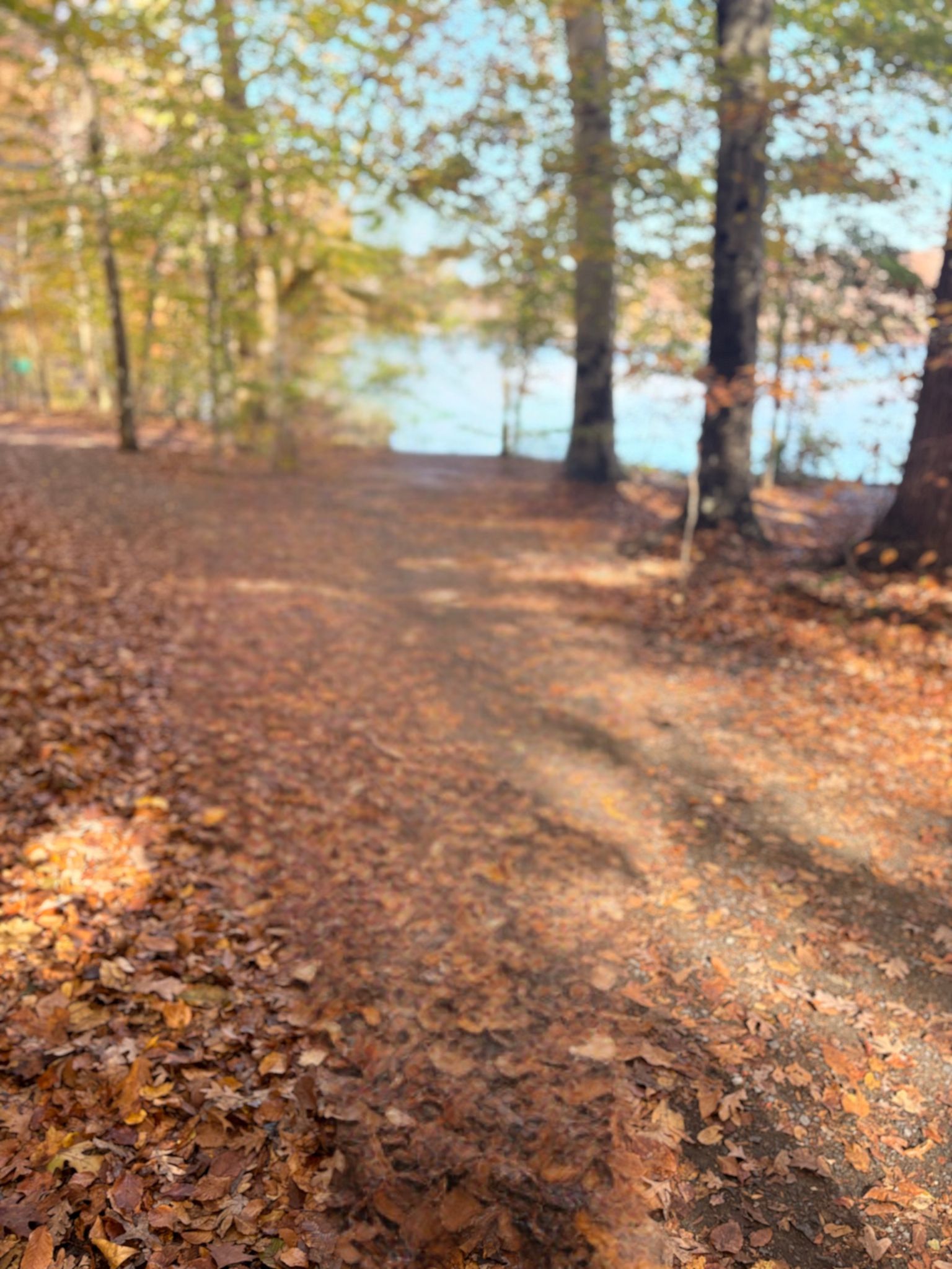 🥾 Hiking in Fairfax County for National Take A Hike Day header image.