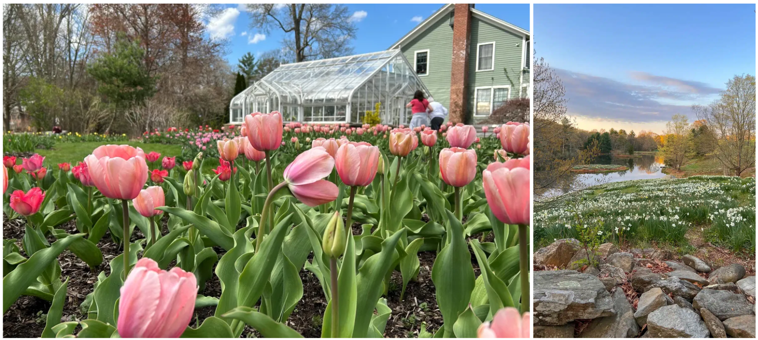 Spring Market Watch: What Buyers & Sellers Should Know in Connecticut This April header image.