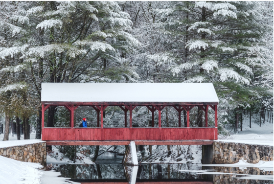 Sip, Savor, & Explore: Connecticut’s Best Winter Food & Drink Experiences in January header image.