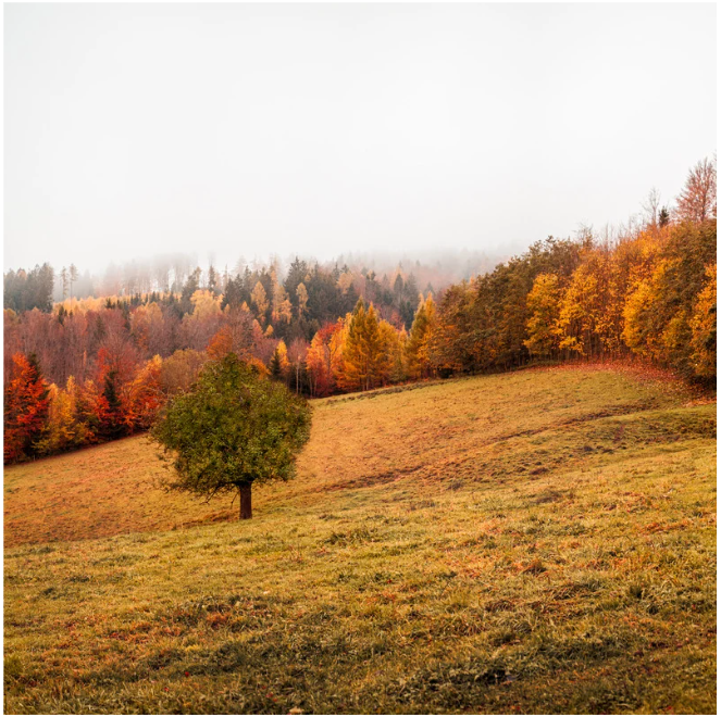 From Vineyards to Views: Why Connecticut’s Wine Country is Attracting Homebuyers This Fall header image.