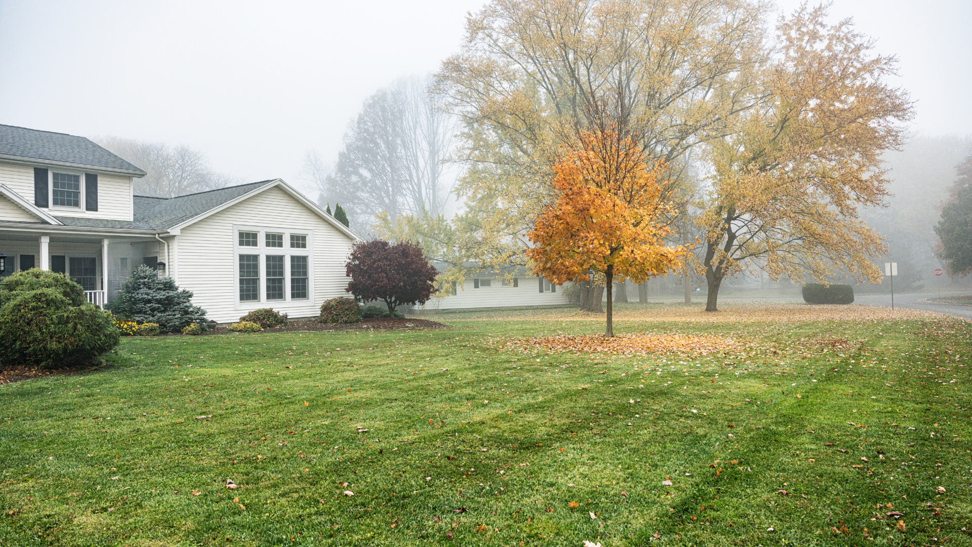 Why November Sales Can Work in Your Favour header image.