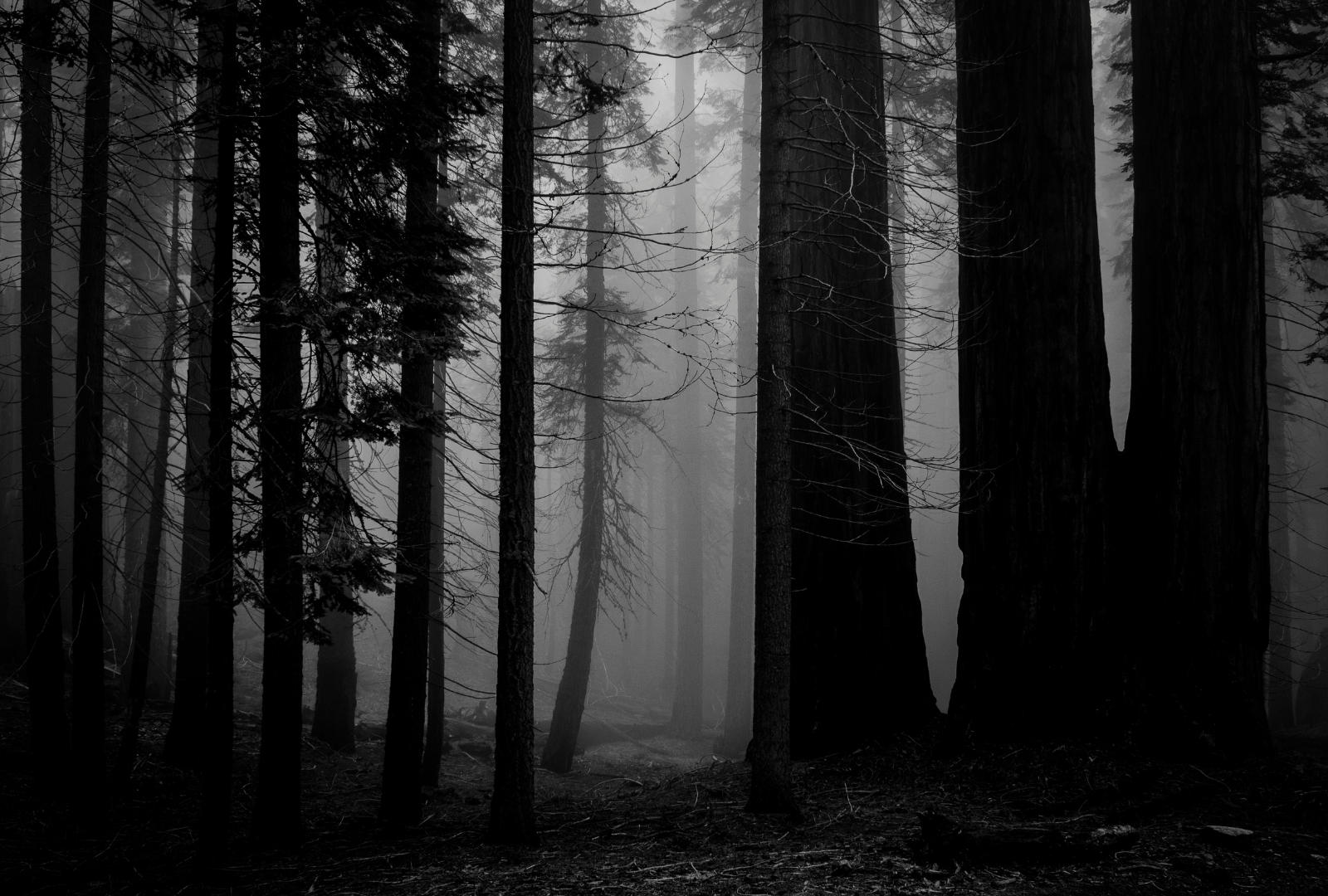 Spooky Legends & Haunted Hotspots in Georgina header image.