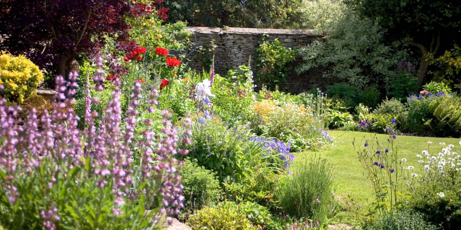 Elevate Your Home’s Curb Appeal This Summer header image.