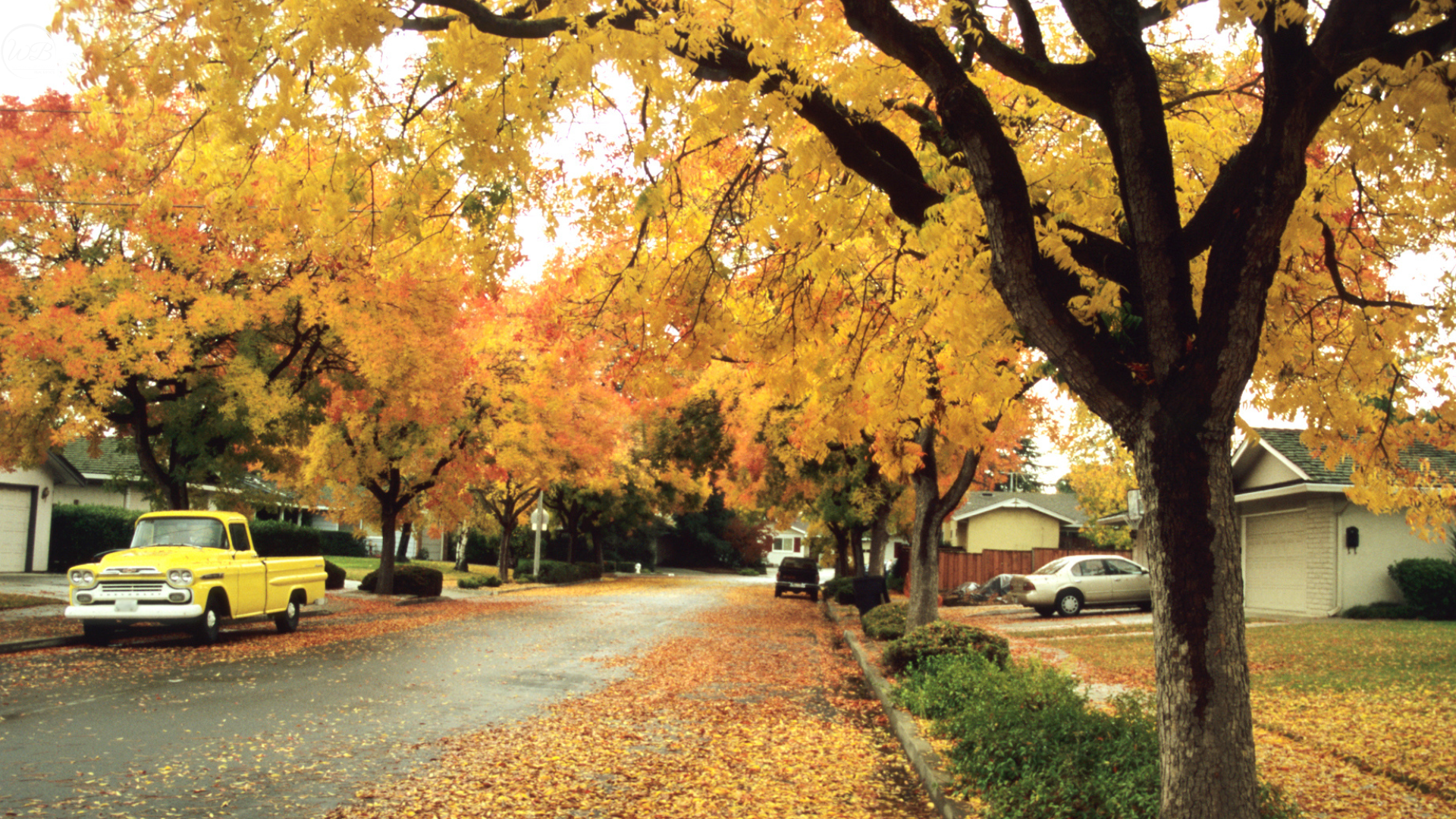 3 Unique Dynamics of the Fall Real Estate Market for Buyers and Sellers in Georgina header image.