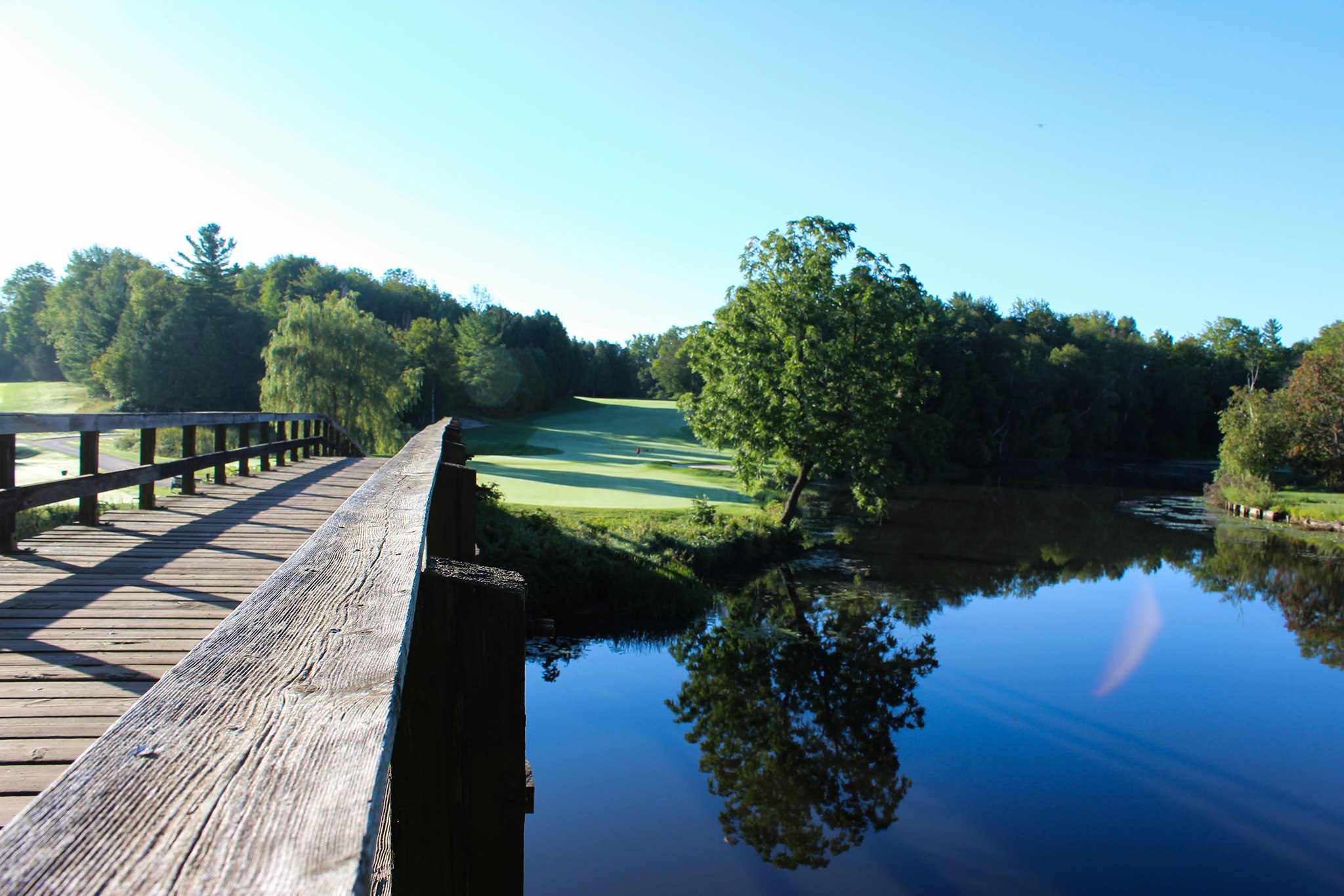 Swing for a Cause! 17th Annual Charity Golf Tournament header image.