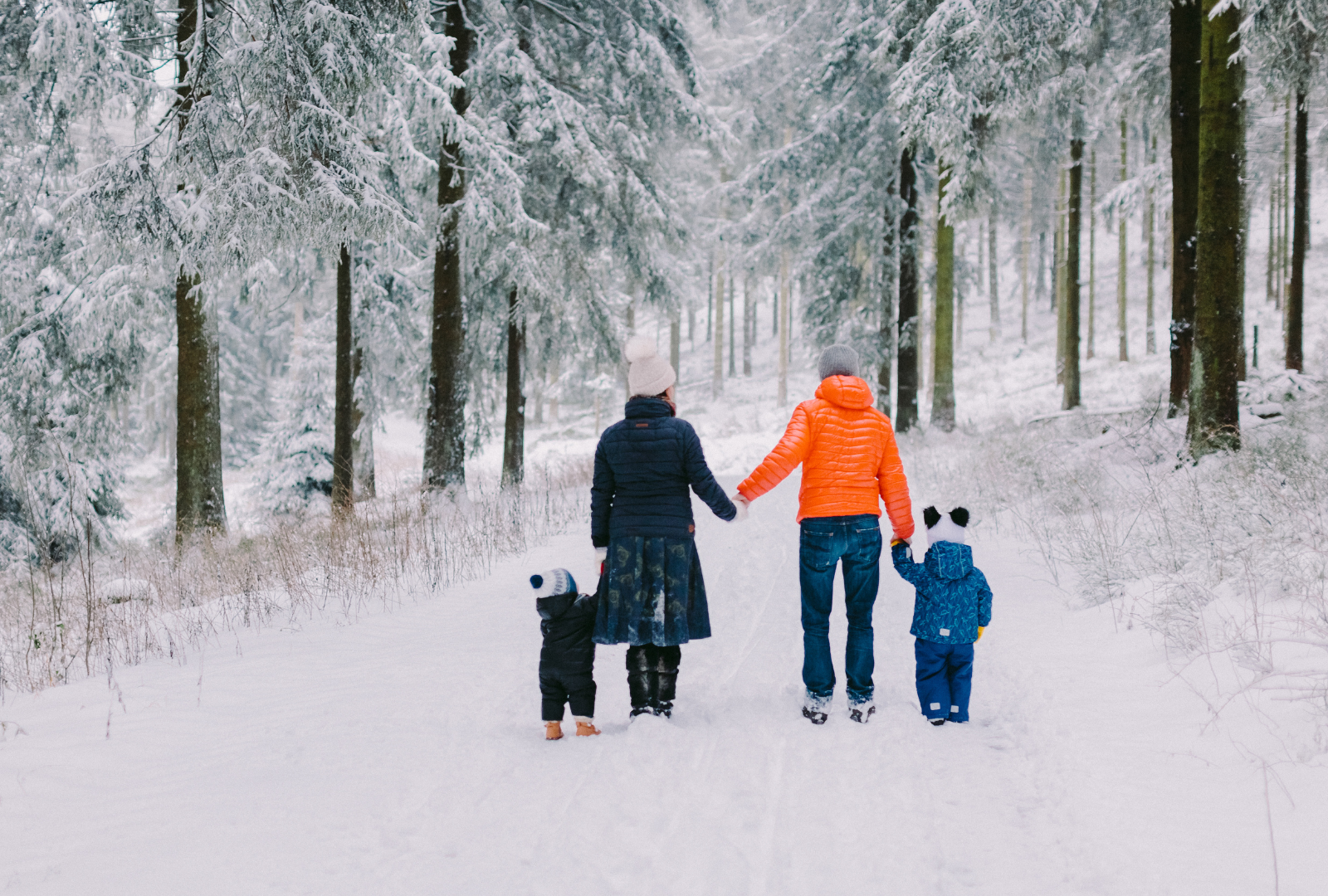 Welcome to Georgina in Winter: What New Homeowners Love Most About the Season header image.