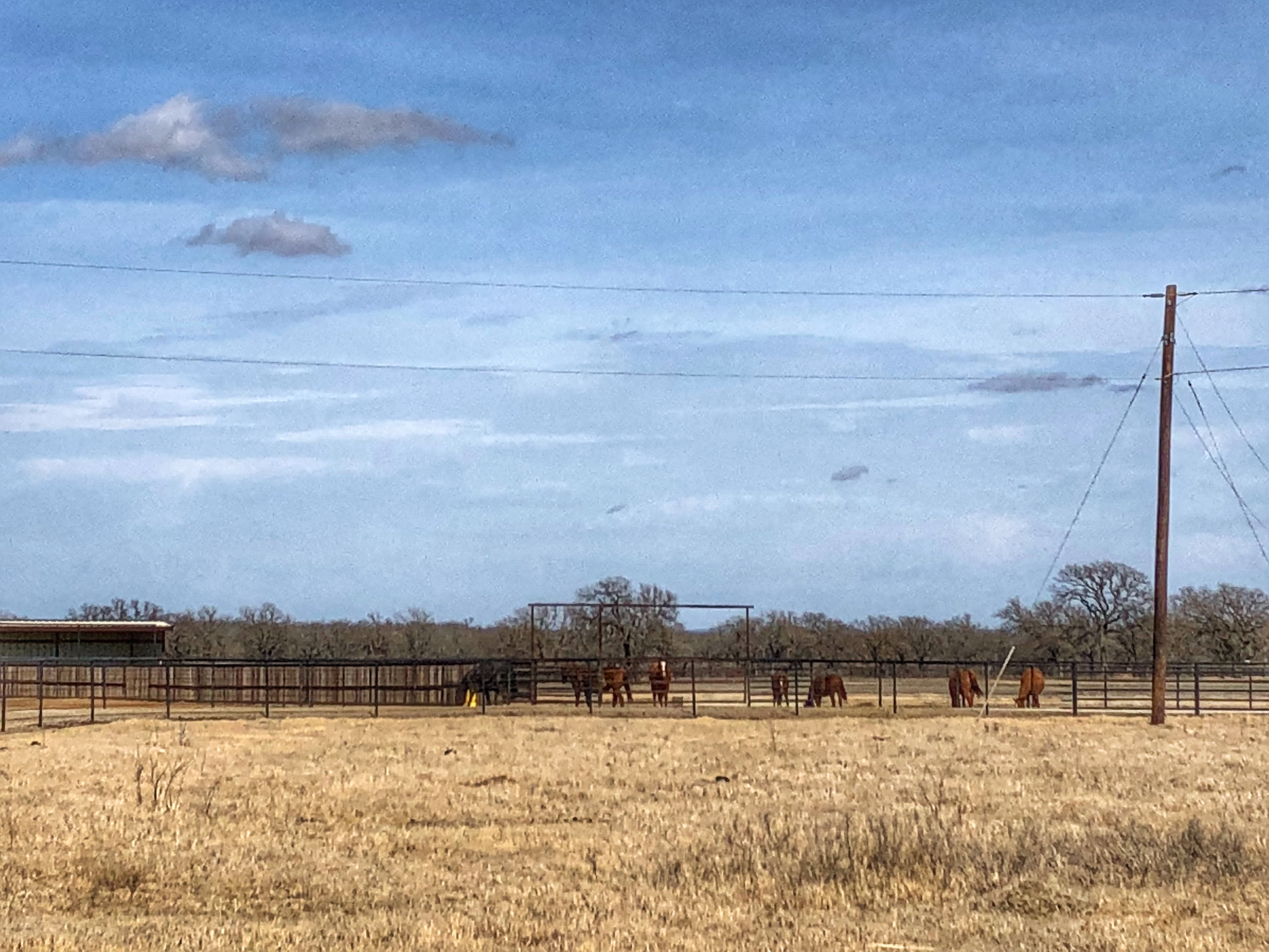 Texas Ranch Easements 