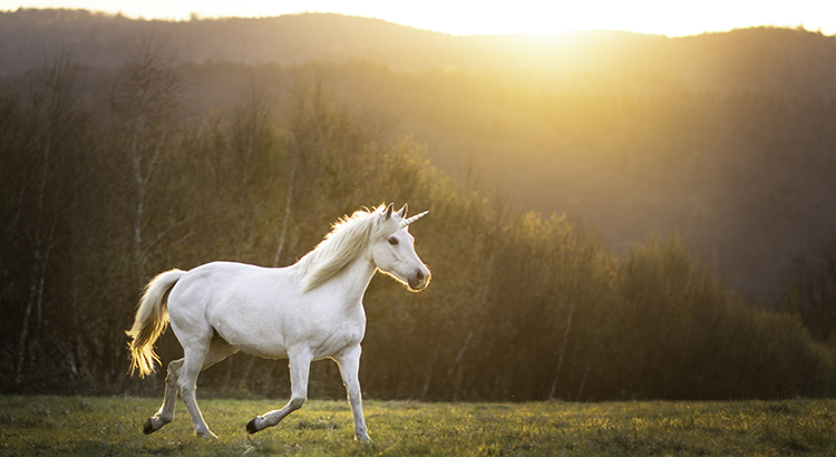 Today’s Real Estate Market: The ‘Unicorns’ Have Galloped Off header image.