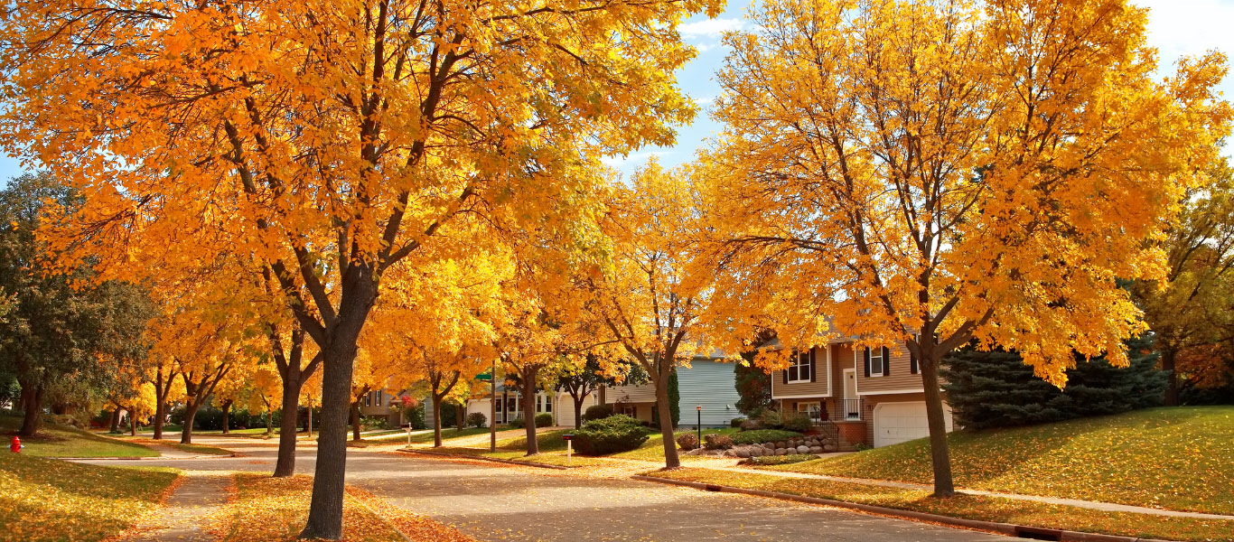 Fall into Homeownership: Why Autumn is the Perfect Season to Buy a Home header image.