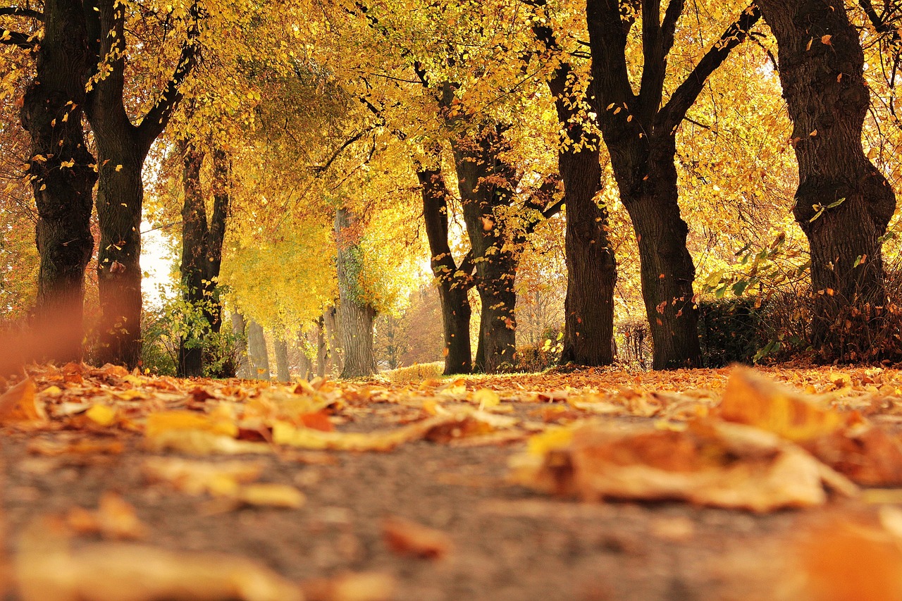 How to Market Your Home with Fall-Themed Touches header image.