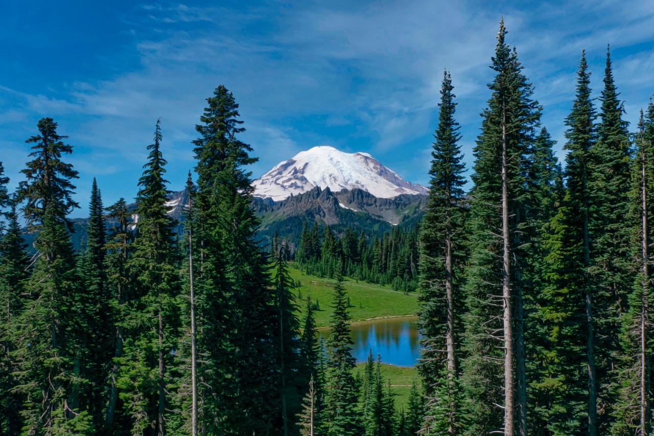Living Local in the PNW header image.