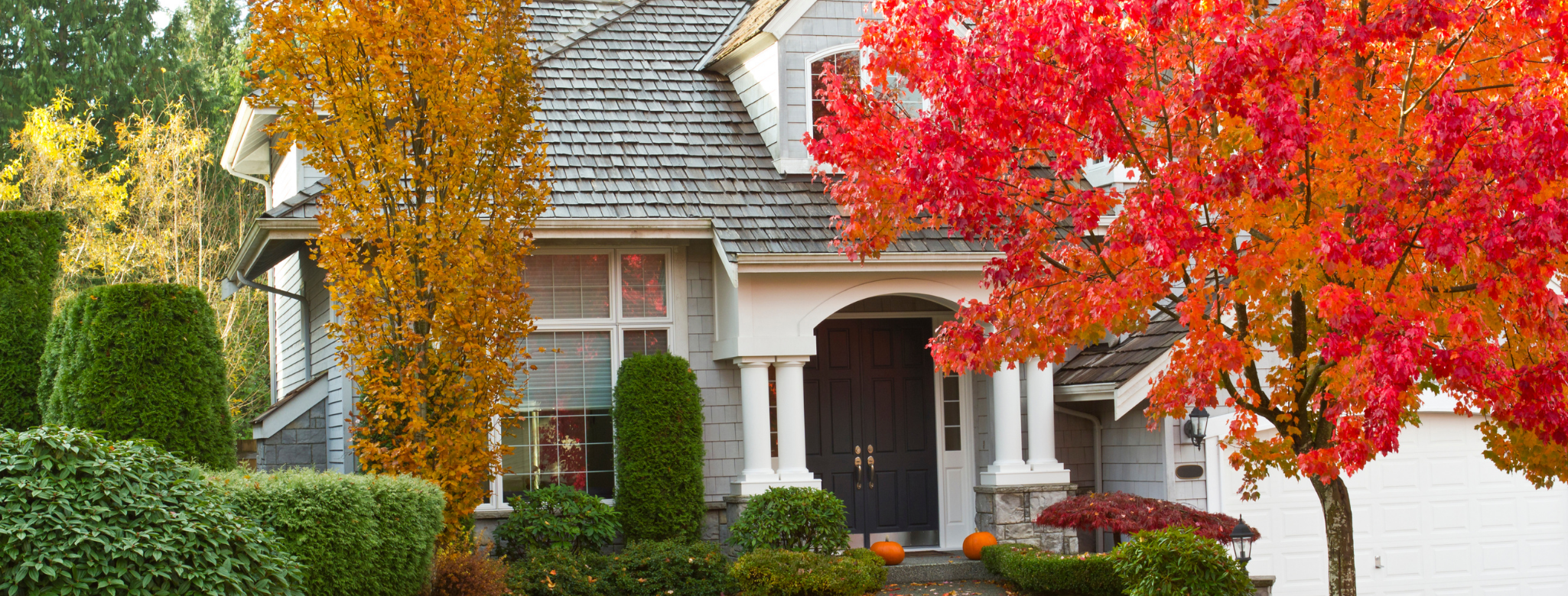 Why Selling Might be your Best Choice this Fall header image.