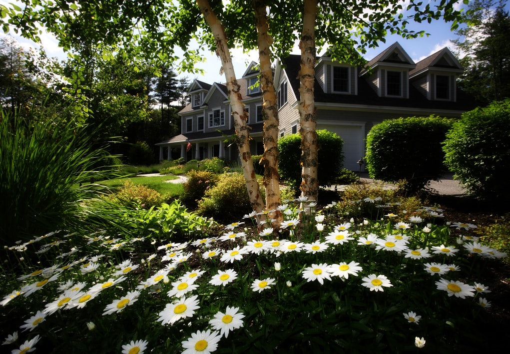 10 Reasons Families and Professionals Are Choosing to Move to Northern Virginia This Year (And Maybe You Should, Too) header image.