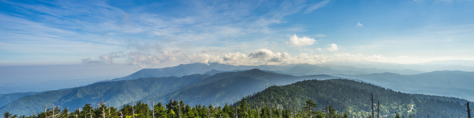 Wears Valley Homes and Cabins for Sale header image.