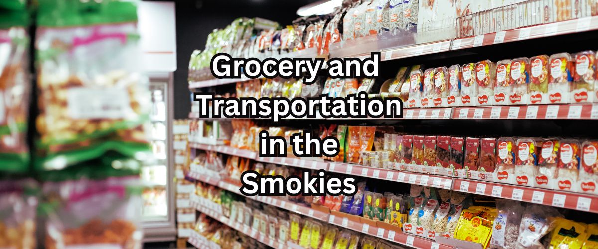 Taxis, Ubereats, Grocery Stores and More! header image.