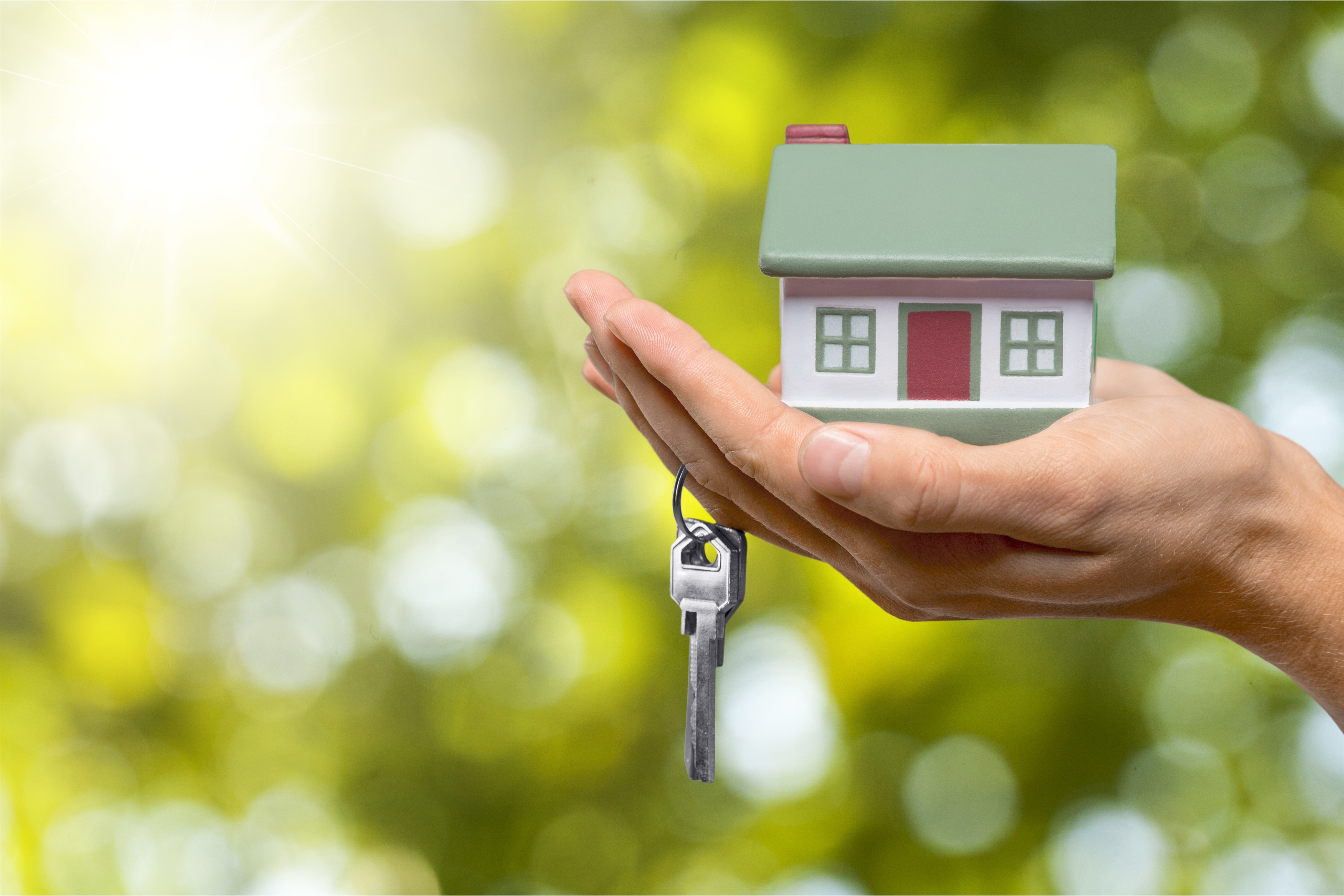 Real Estate Update: Embrace Opportunity! header image.
