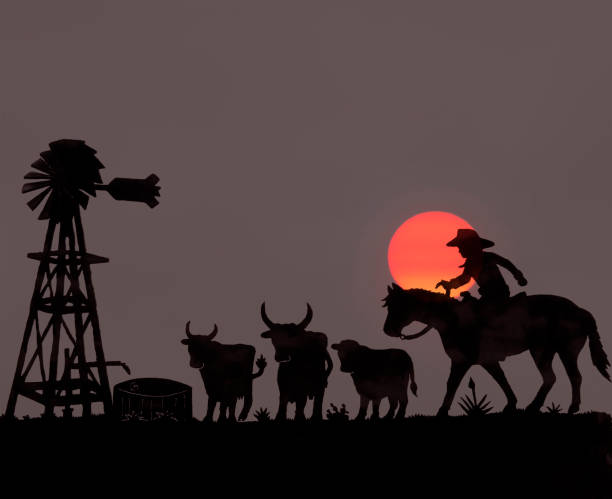 The Lubbock Homeowner's Guide: Maintenance Tips for Life on the South Plains header image.