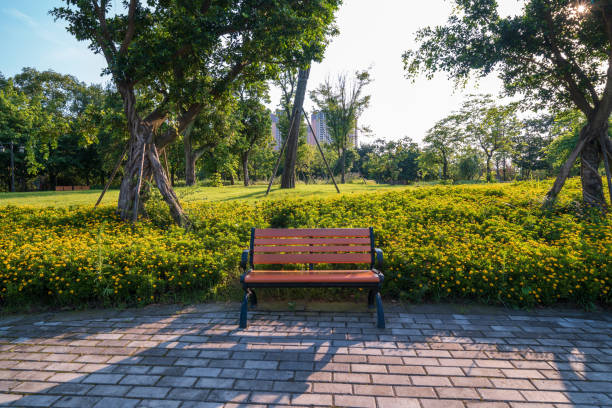 The Best Parks in Lubbock, TX: Where to Walk, Play, Picnic & Explore header image.