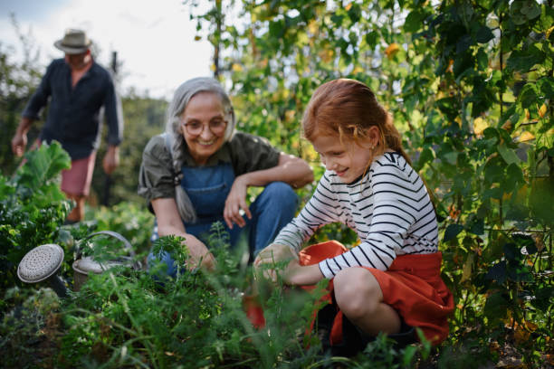 Starting a Garden in Lubbock, Texas: What Grows Well in the West Texas Climate header image.