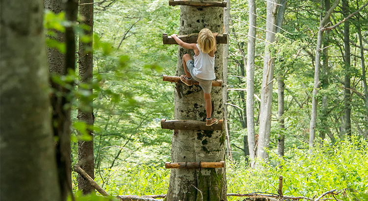 Demand for Homes to Buy Continues to Climb header image.