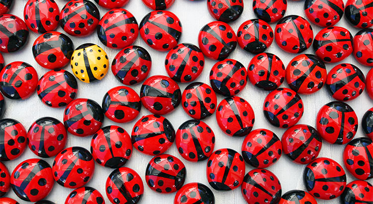 Buying This Summer? Be Prepared for Bidding Wars header image.