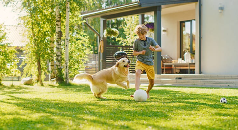 Why This Isn’t Your Typical Summer Housing Market header image.
