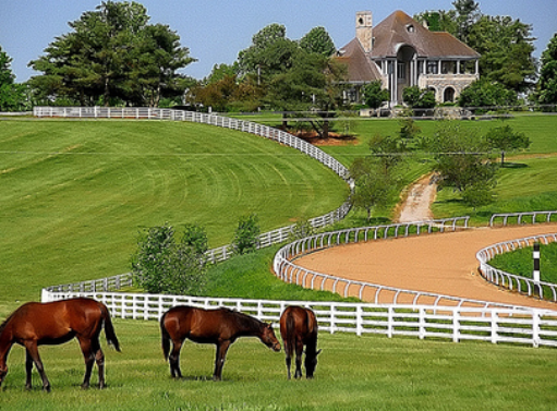 Navigating Lexington’s New Website header image.