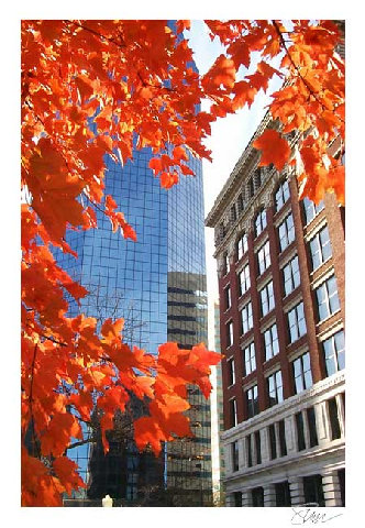 Great Reasons to Move to Lexington! header image.