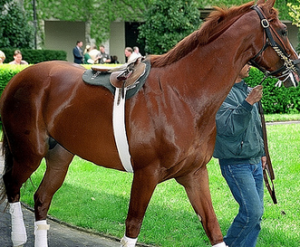 Things to Do Around Lexington, KY header image.