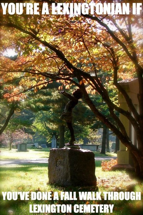 You’re a Lexingtonian If header image.