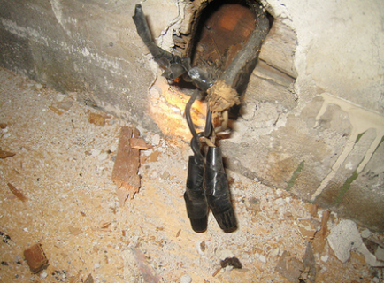 Lexington Real Estate: Home Inspection Nightmares header image.