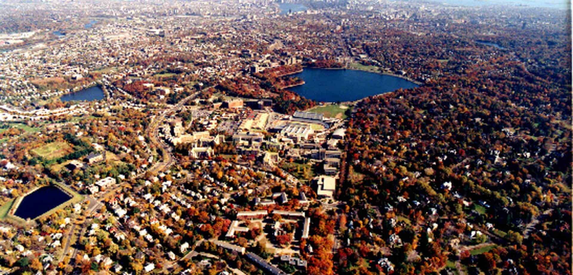 August 2025 Newton Real Estate Market Update header image.