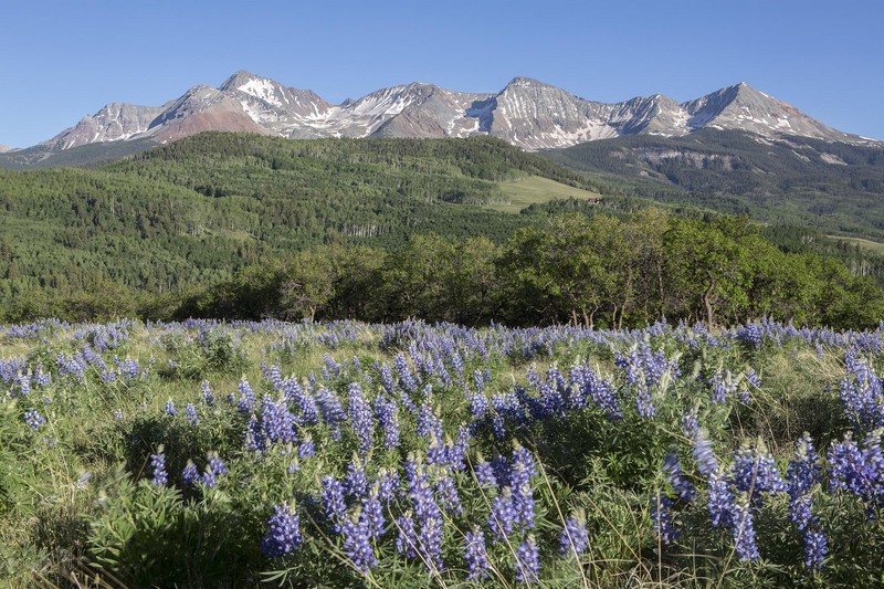 May Telluride Real Estate Numbers header image.